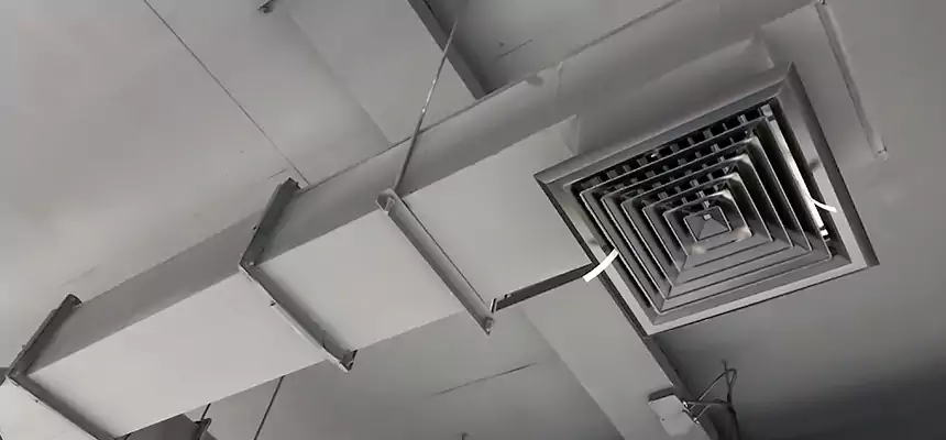 Our Rodent Droppings In Vents Services in Clinton, UT