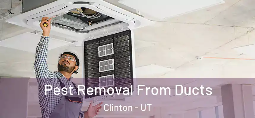 Pest Removal From Ducts Clinton - UT