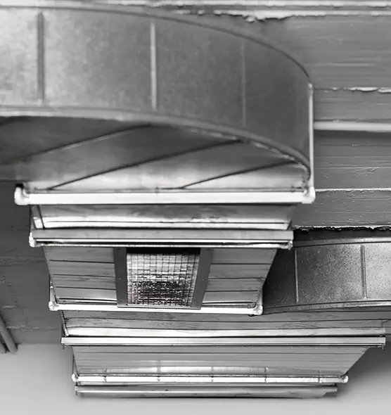 Professional Air Duct Pet Hair Removal in Clinton, UT