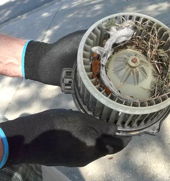 About Air Duct Rat Removal in Clinton, UT