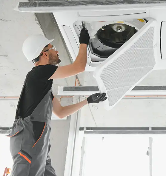 About Air Duct Rodent Removal in Clinton, UT