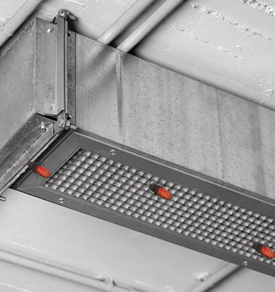 Affordable Insect Removal from Air Ducts in Clinton, UT