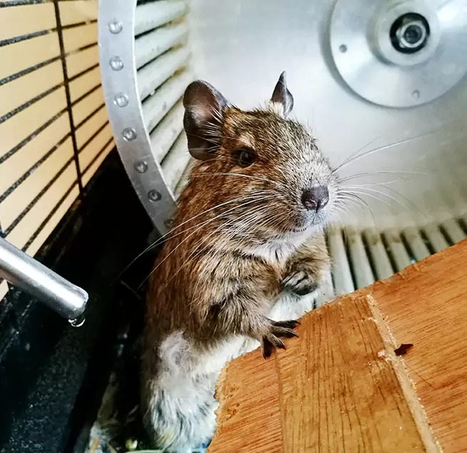 Why Homeowners & Businesses Trust Us Clinton, UT